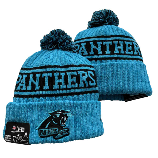 Carolina Panthers knit Hats 032